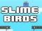 Gêm Adar Slime ar-lein