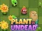 Gêm Planhigion yn erbyn Undead ar-lein