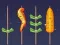 Gêm Gêm Barbeciw ar-lein