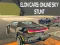Gêm Ceirf Elon: Stunts Rhyngrwyd yn yr Awyr ar-lein