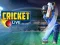Gêm Criced yn fyw ar-lein