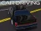Gêm Gyrrwr Car ar-lein