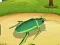 Gêm Rhyfel Byd Insectau Ar-lein ar-lein