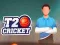 Gêm T20 Criced ar-lein