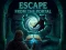 Gêm Escape from the Portal ar-lein