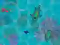 Gêm Sharkz.io ar-lein