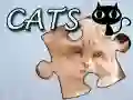Gêm Pecyn: Cathod ar-lein