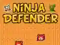 Gêm Amodwr Ninja ar-lein Gêm Amodwr Ninja ar-lein