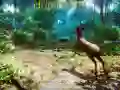 Gêm Sgwarnwr 3D ar-lein Gêm Sgwarnwr 3D ar-lein