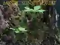 Gêm Coed mystig pan ddeuai ar-lein
