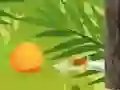 GĂȘm Torwr Trofannol ar-lein GĂȘm Torwr Trofannol ar-lein