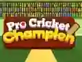 Gêm Arbenigwr Criced Pro ar-lein