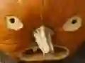 Gêm 5 mewn 1 Pysgod Delwedd: Halloween ar-lein Gêm 5 mewn 1 Pysgod Delwedd: Halloween ar-lein
