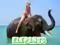 Gêm Pazlen Eliffant ar-lein Gêm Pazlen Eliffant ar-lein