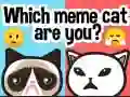 Gêm Pa gath meme ydych? ar-lein