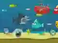 Gêm Siarp Ccrazy ar-lein Gêm Siarp Ccrazy ar-lein