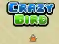 Gêm Adar Crazy ar-lein Gêm Adar Crazy ar-lein