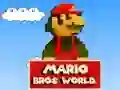Gêm Byd Mario Bros ar-lein