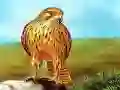 Gêm Caws Pysgod Ymlith ar-lein Gêm Caws Pysgod Ymlith ar-lein