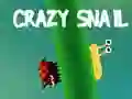 GĂȘm Snail Crazy ar-lein GĂȘm Snail Crazy ar-lein