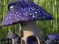 Gêm Patrwm Tŷ Madarch Gwirion ar-lein Gêm Patrwm Tŷ Madarch Gwirion ar-lein