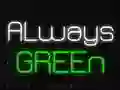 Gêm Byth Gwyrdd ar-lein Gêm Byth Gwyrdd ar-lein