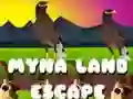 Gêm Dianc o Dir Myna ar-lein Gêm Dianc o Dir Myna ar-lein