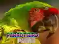 Gêm Pecyn aderyn parot ar-lein Gêm Pecyn aderyn parot ar-lein