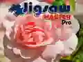 Gêm Meistr Pêl Pro ar-lein Gêm Meistr Pêl Pro ar-lein