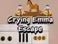 Gêm Dianc Emma sy'n Wybryn ar-lein Gêm Dianc Emma sy'n Wybryn ar-lein