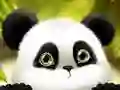 Gêm Slid Panda ar-lein Gêm Slid Panda ar-lein