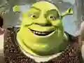 Gêm Crynho’r Pano Shrek ar-lein Gêm Crynho’r Pano Shrek ar-lein