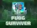Gêm PUBG Survivewr ar-lein Gêm PUBG Survivewr ar-lein