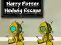 Gêm Harry Potter: Ffoad Hedwig ar-lein