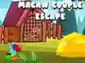 Gêm Dianc y Pâr Macaw ar-lein Gêm Dianc y Pâr Macaw ar-lein