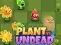 Gêm Planhigion yn erbyn Undead ar-lein Gêm Planhigion yn erbyn Undead ar-lein