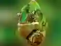 Gêm Pecyn Chameleon ar-lein Gêm Pecyn Chameleon ar-lein