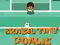 GĂȘm Brazil Ti Goelydd ar-lein GĂȘm Brazil Ti Goelydd ar-lein