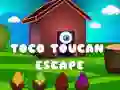 Gêm Ffoad Toco Toucan ar-lein Gêm Ffoad Toco Toucan ar-lein