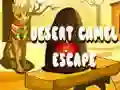 Gêm Dianc Camel yr Anialwch ar-lein Gêm Dianc Camel yr Anialwch ar-lein
