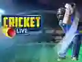 GĂȘm Criced yn fyw ar-lein GĂȘm Criced yn fyw ar-lein