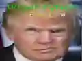 Gêm Trump Wyneb Hwyl ar-lein Gêm Trump Wyneb Hwyl ar-lein