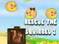 Gêm Achub y sqirrel 2 ar-lein Gêm Achub y sqirrel 2 ar-lein