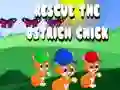 Gêm Achubwch y cyw o'r strwts ar-lein Gêm Achubwch y cyw o'r strwts ar-lein