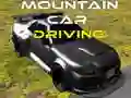 Gêm Gyrrwr Car Dafad ar-lein Gêm Gyrrwr Car Dafad ar-lein