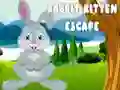 Gêm Dianc gan FYSGO a KITTEN ar-lein Gêm Dianc gan FYSGO a KITTEN ar-lein