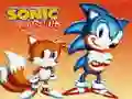 Gêm Sonic y Brawf ar-lein Gêm Sonic y Brawf ar-lein