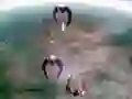 Gêm Scape Shotter ar-lein Gêm Scape Shotter ar-lein