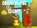 Gêm Ffoad Pac Lliwgar ar-lein Gêm Ffoad Pac Lliwgar ar-lein