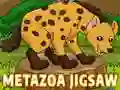 Gêm Metazoa Gorsaf ar-lein Gêm Metazoa Gorsaf ar-lein